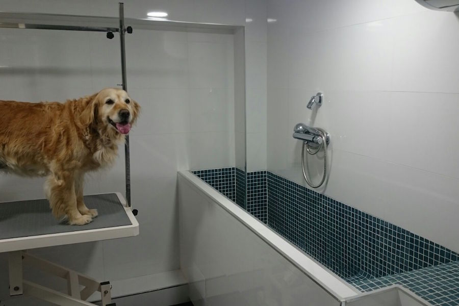 Peluquería